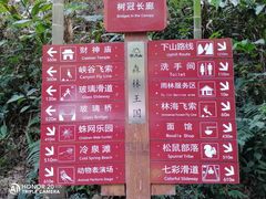 -南丹山森林王国