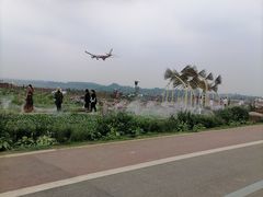 -空港花田景区