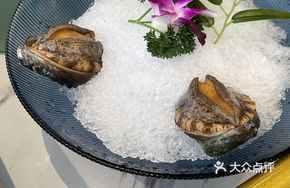 Dancing Abalone