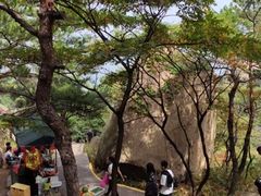 -崂山仰口游览区