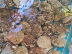 -锅老头铁锅炖•大锅蒸汽海鲜(韩乐坊店)