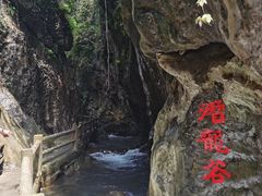 -华蓥山天意谷景区