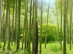 -黄公望隐居地