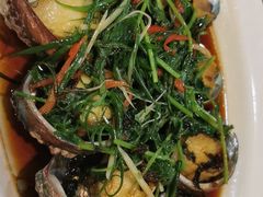 -揭阳钟记小食(福田新村店)