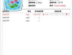 -翡翠森林宠物火化殡葬(通州店)