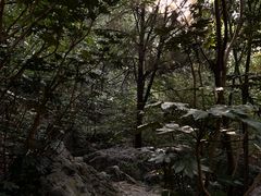 -云龙山
