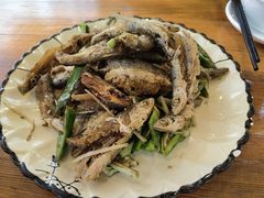 -开心农家菜