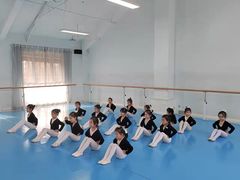 -西安小天鹅艺术团(曲江Alice店)