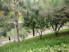 -金宫殿故址