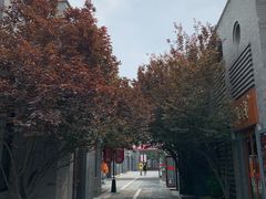 -龙湖星悦荟(颐和店)