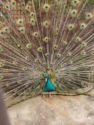 -三分地生态园·儿童乐园