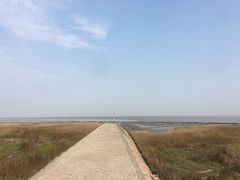 -南汇嘴观海公园