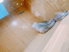 -屋虎猫馆(宝安大仟里店)