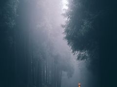 -山王坪喀斯特国家生态公园