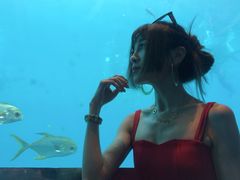-瑞德姆美人鱼海底演艺主题餐厅(亚龙湾店)