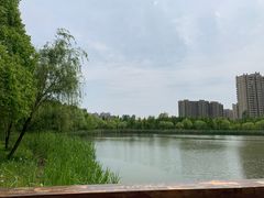 -昆山城市生态森林公园