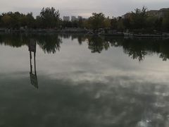 -绿岛公园(滨海新区)