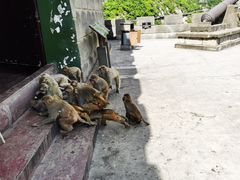 -白帝城·瞿塘峡景区