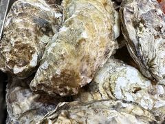 -众彩物流水产市场