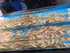 -甄品麦哲伦海鲜和牛自助(万达广场店)