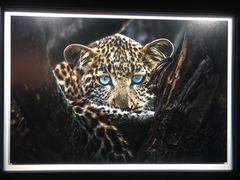 -罗红摄影艺术馆