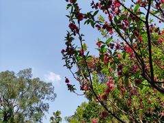 -桃花涧