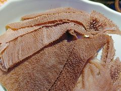 -额尔敦传统涮(公园西路店)