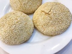 -九花山烤鸭店