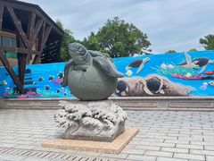 -广东惠东海龟国家级自然保护区