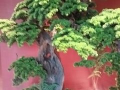 -阿伟海鲜楼·福建菜(延寿店)
