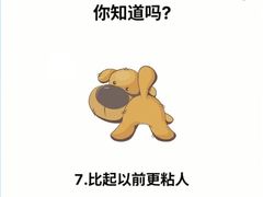 -美联众合动物医院·24h转诊中心