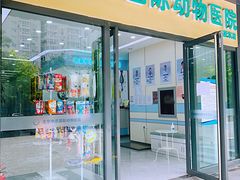 -中农国际动物医院24小时·猫科·骨科·急重症中心