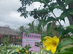 -蔡家宅
