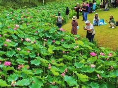 -沐仙湖湿地公园