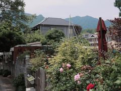 -龙坞茶村