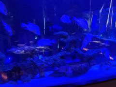 -上和臻品中国菜(花园街店)