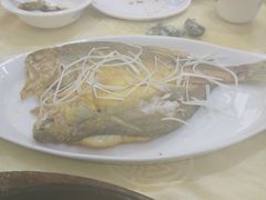 香煎黄花鱼-天宝食坊·啫啫煲大排档(西华路店)