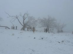 -大秃顶子山