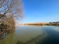 -泗洪洪泽湖湿地景区