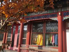 -宫事颐庭·老佛爷贵寿下午茶(颐和园店)