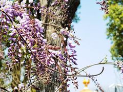 -上海吴淞炮台湾国家湿地公园