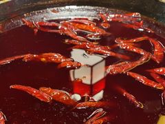 -蜀大侠火锅(总府路店)