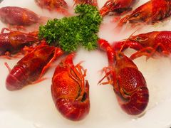 -沪小胖小龙虾(淮海中路旗舰店)