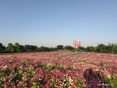 -歌斐颂巧克力小镇