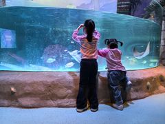 -沈阳海洋探索中心