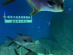 -大连圣亚海洋世界