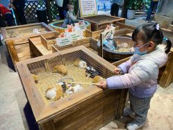 -酷嗒动物文化乐园(cutezoo西溪乐天城店)