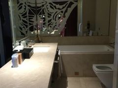 -成都明宇丽雅饭店