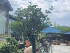 -天怡·鱼工厂(临江店)