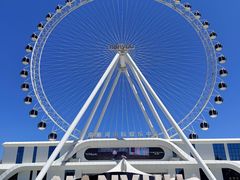 -南戴河国际娱乐中心